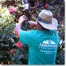 Expert Care - Yard Services - Arrowhead Home Services
